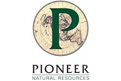 Pioneer